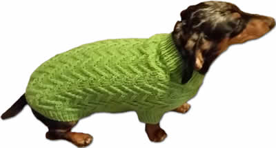Knit Dog Sweater