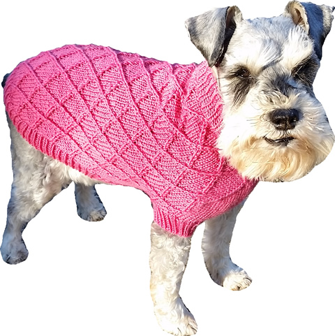 Knit Dog Sweater