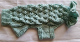Light Green Dog Sweater