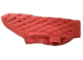 Orange Dog Sweater