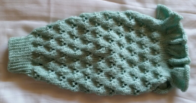 Light Green Dog Sweater