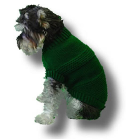 Small dog in a knit sweater.