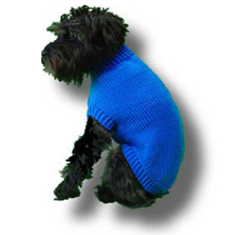 Small dog in a knit sweater.