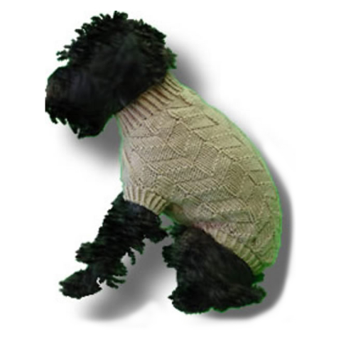 Small dog in a knit sweater.