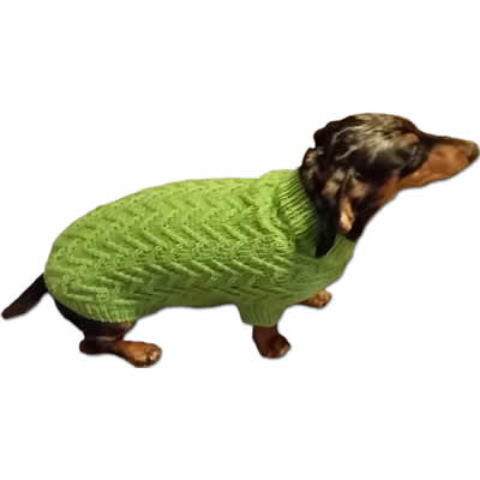 Small dog in a knit sweater.
