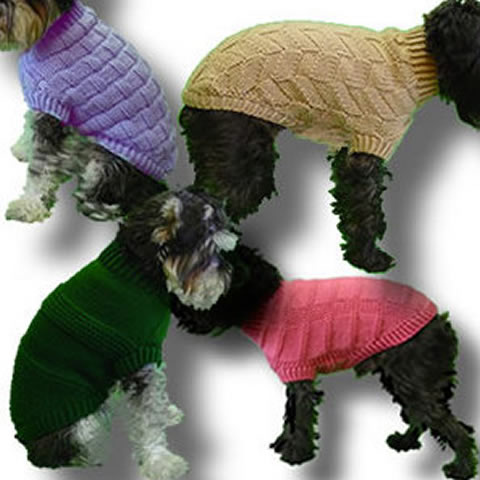 Small dogs in a knit sweaters.